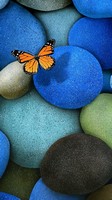 descargar wallpaper de animales